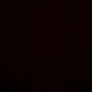 Meet your Posher, Davin